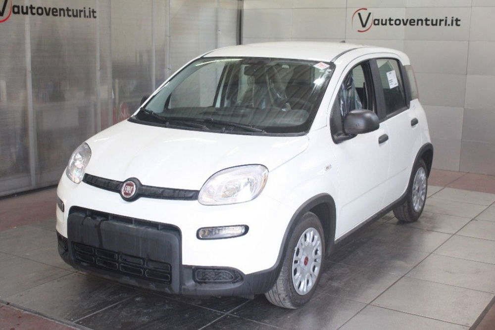 Fiat Panda Cross nuova a Viterbo (2)