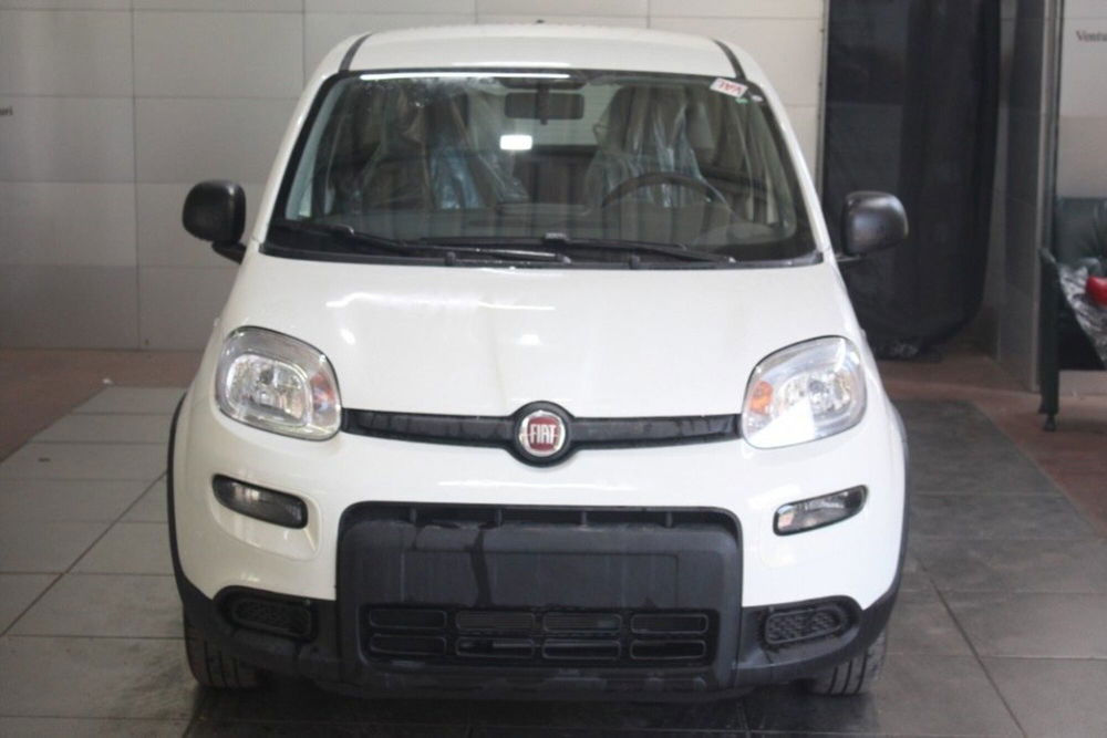 Fiat Panda nuova a Viterbo (3)