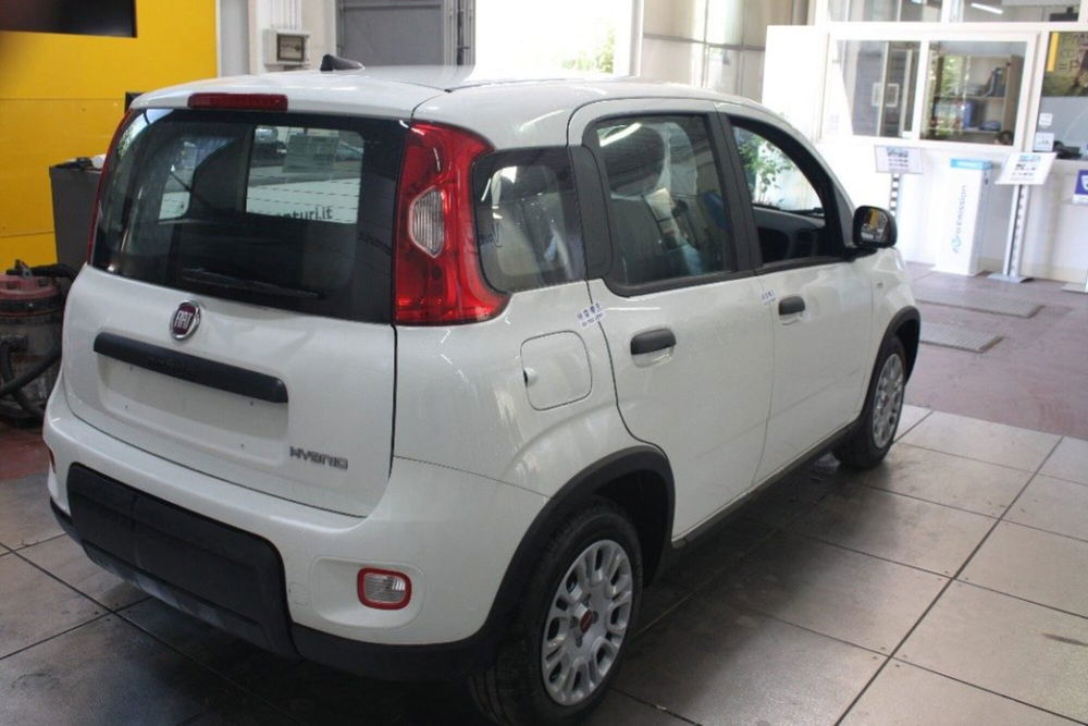 Fiat Panda Cross nuova a Viterbo (4)