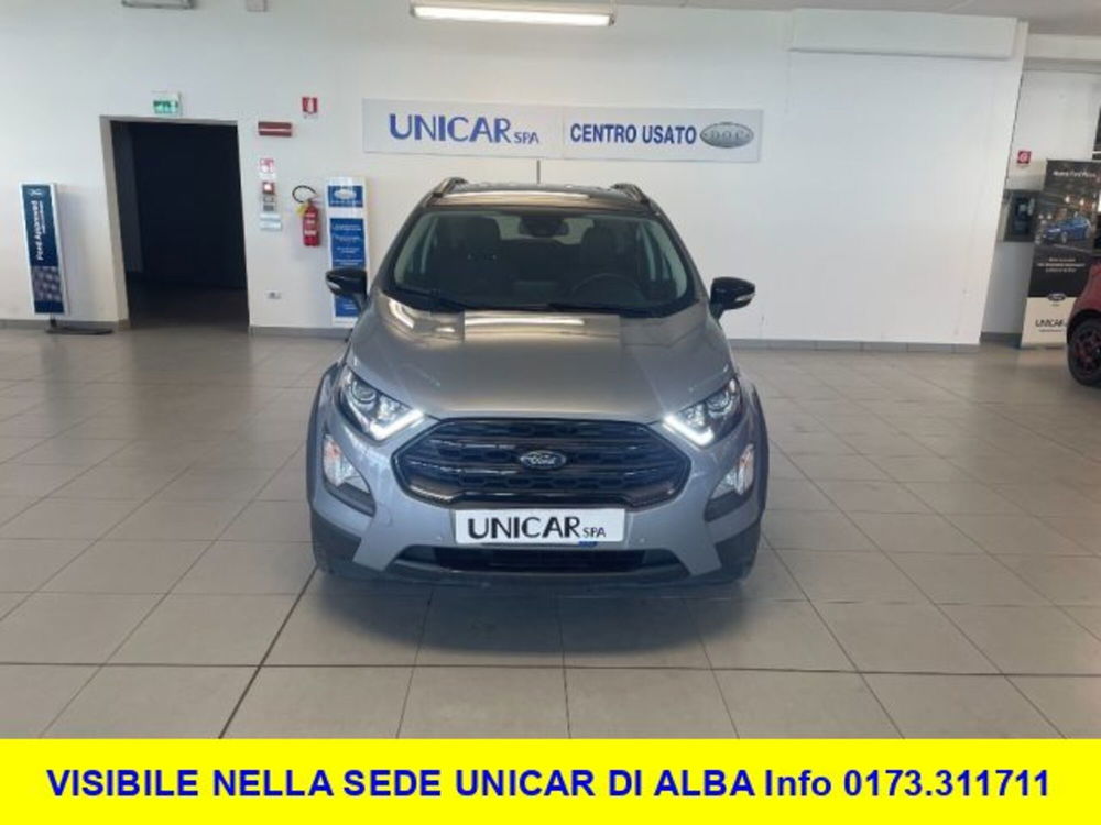 Ford EcoSport usata a Cuneo (2)