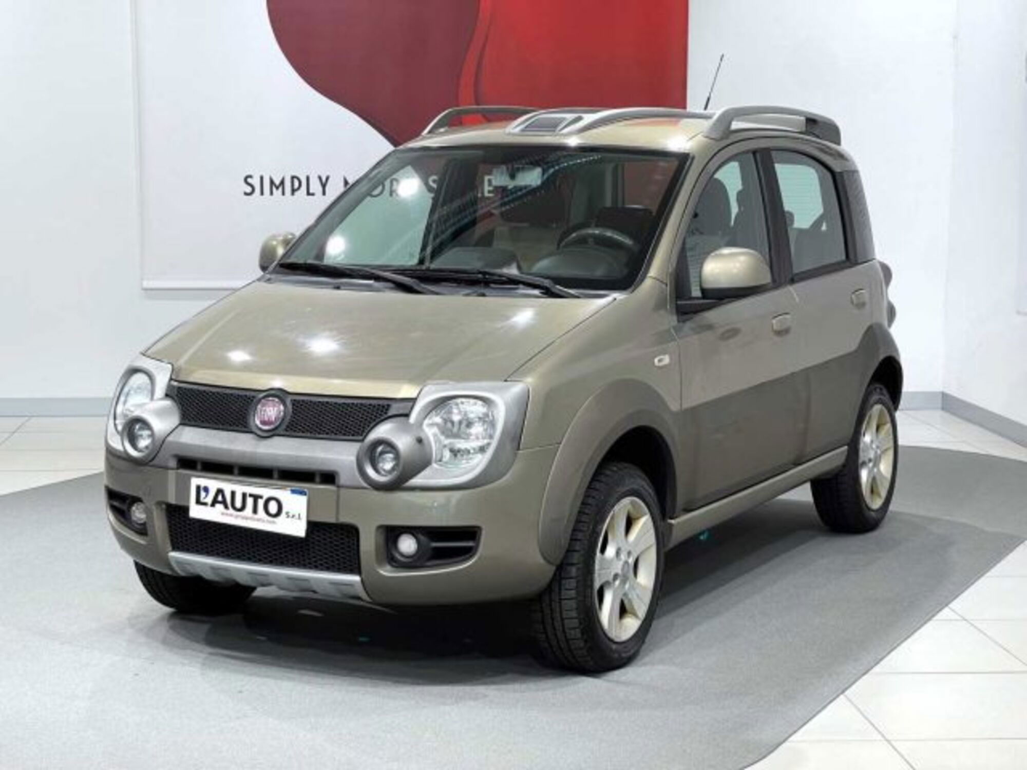 Fiat Panda 1.3 MJT 16V 4x4 Cross  del 2010 usata a Caspoggio