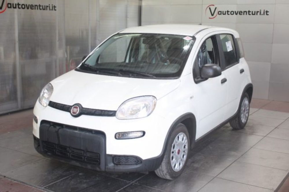 Fiat Panda nuova a Viterbo (2)