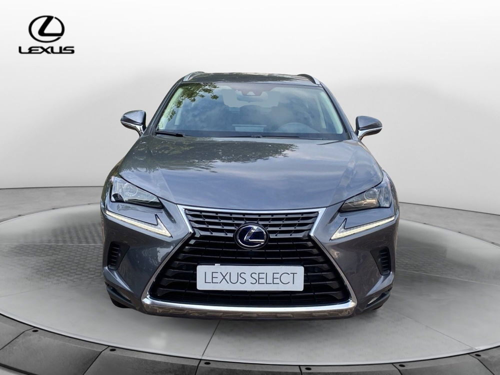 Lexus NX usata a Bergamo (7)