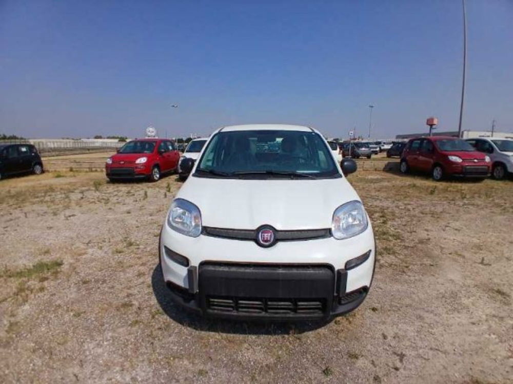 Fiat Panda nuova a Lecce