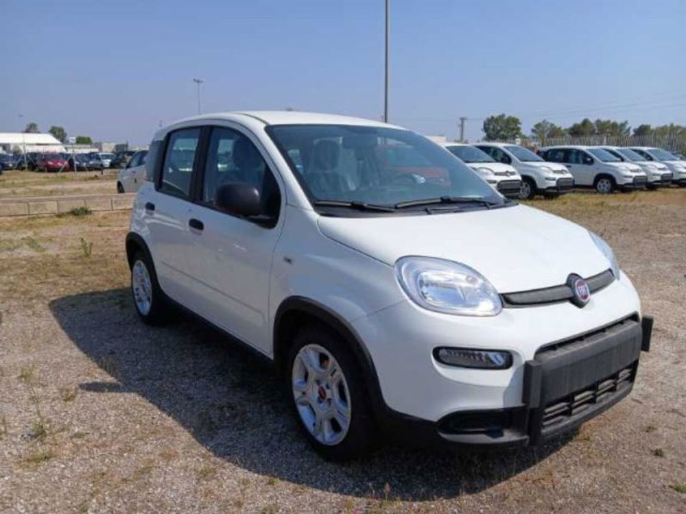 Fiat Panda nuova a Lecce (3)