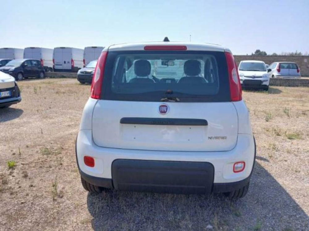 Fiat Panda nuova a Lecce (5)