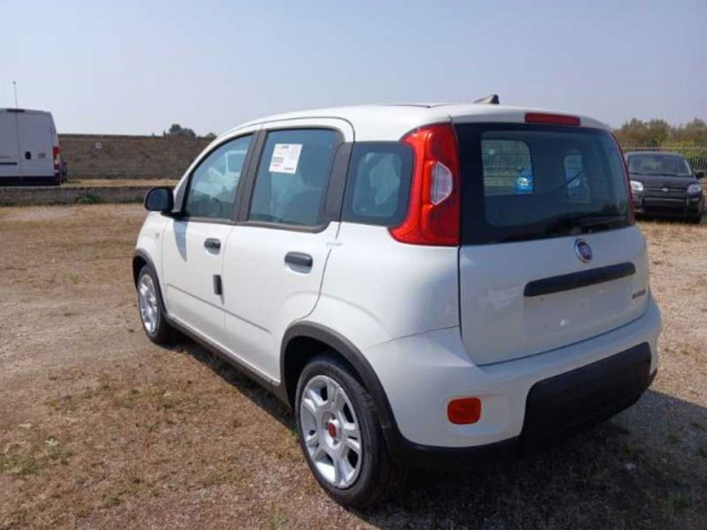 Fiat Panda nuova a Lecce (6)