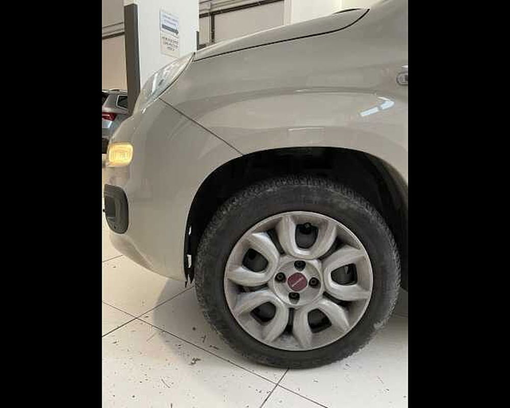 Fiat Panda usata a Ravenna (16)