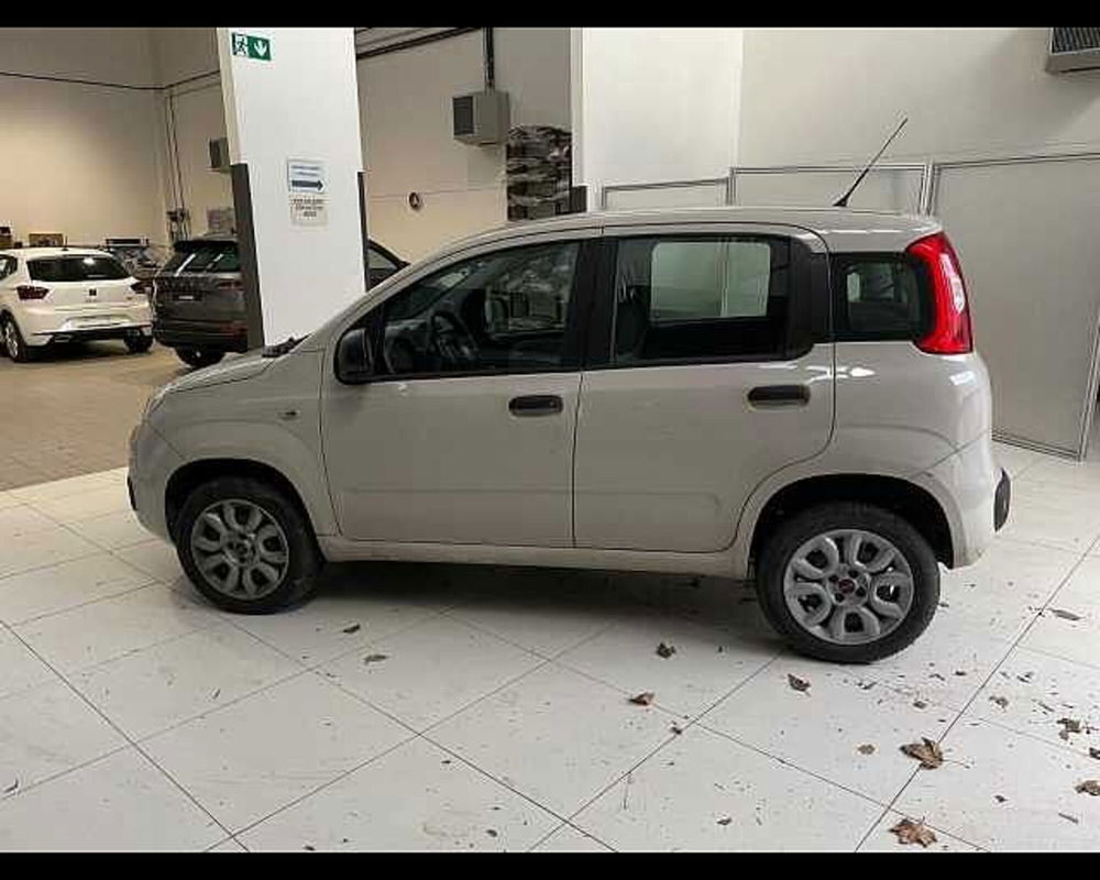 Fiat Panda usata a Ravenna (4)