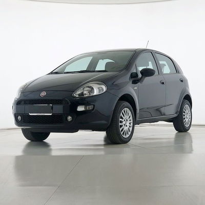 Fiat Punto 1.4 8V 5 porte Natural Power Street  del 2015 usata a Bastia Umbra