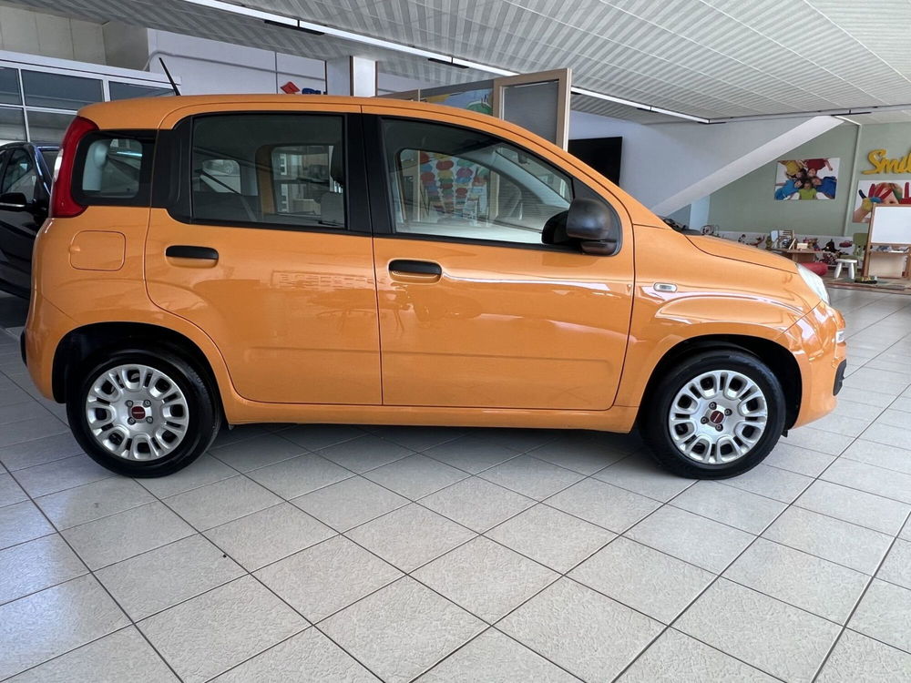 Fiat Panda Cross usata a Teramo (2)