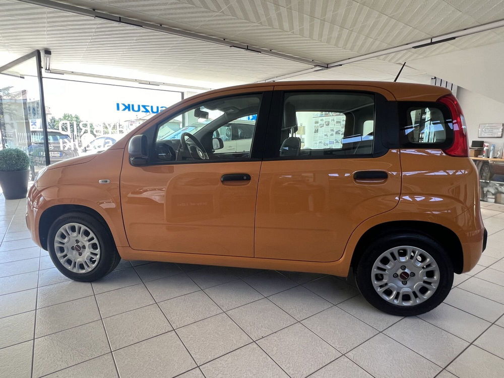 Fiat Panda Cross usata a Teramo (3)