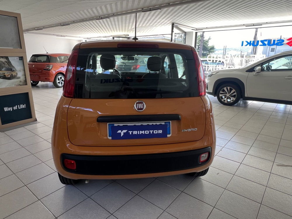 Fiat Panda Cross usata a Teramo (5)