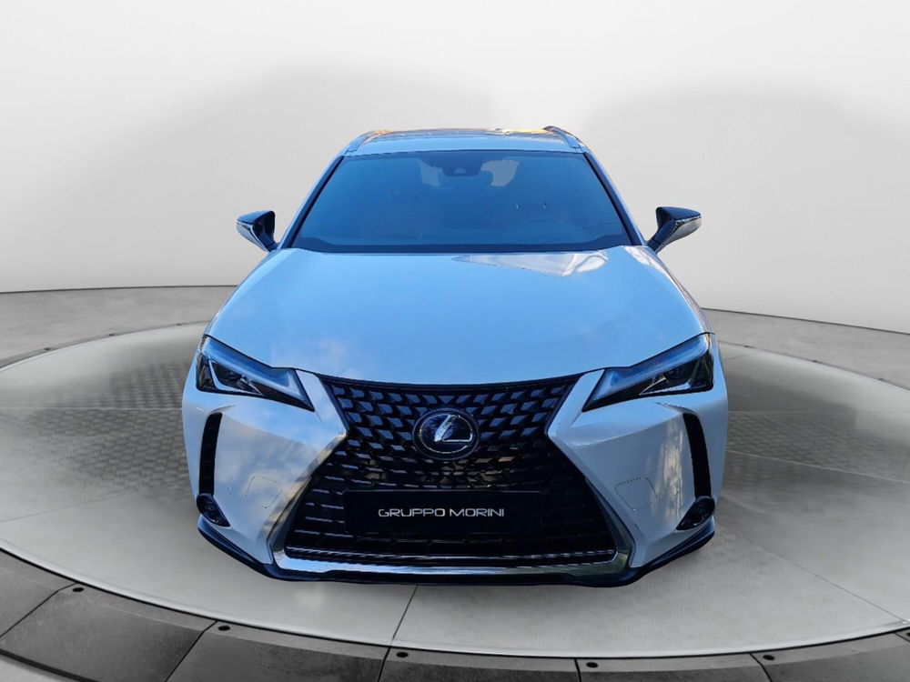 Lexus UX usata a Bologna