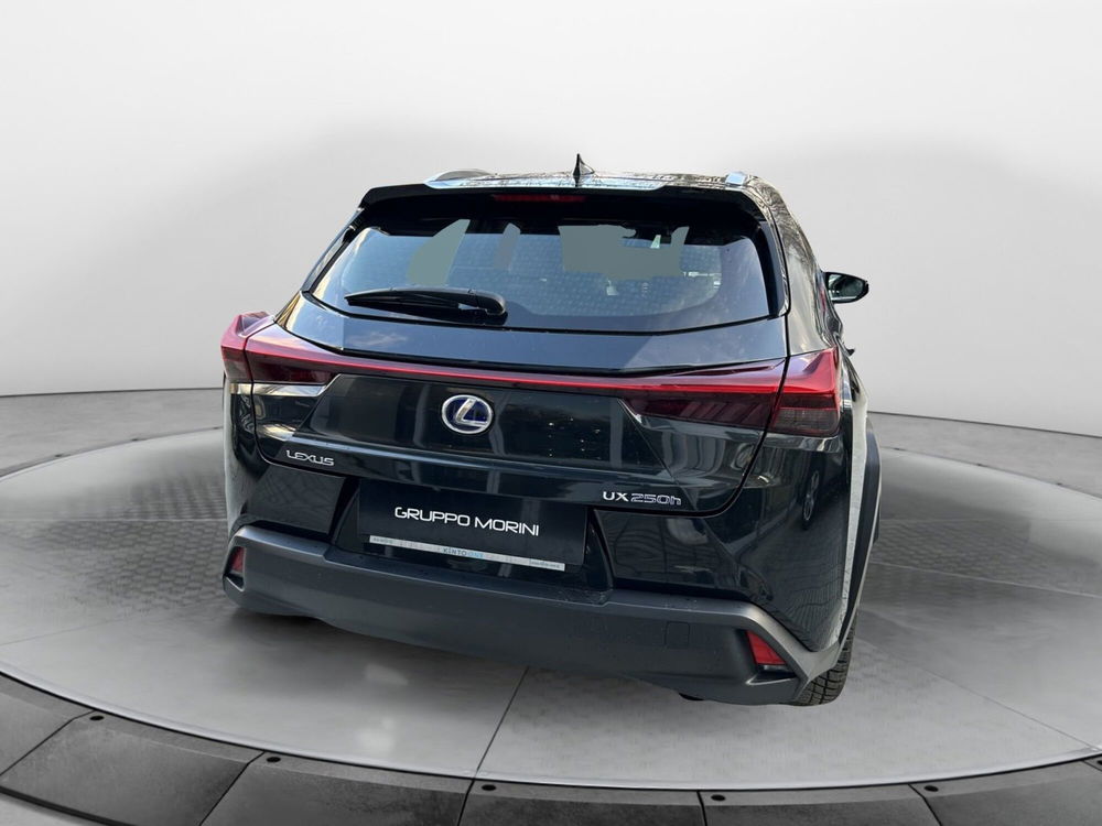 Lexus UX usata a Bologna (5)