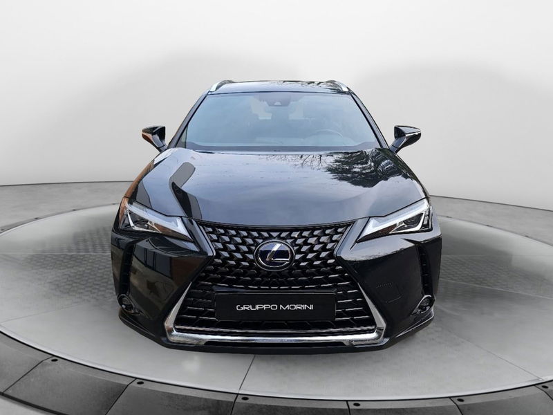 Lexus UX Hybrid Business del 2022 usata a San Lazzaro di Savena