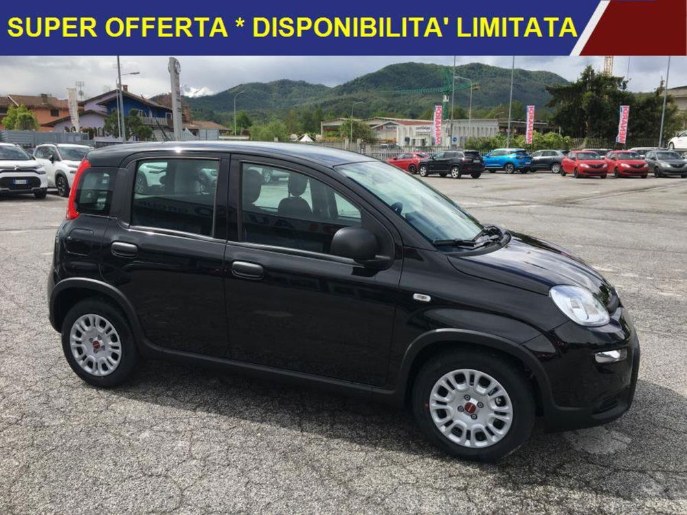 Fiat Panda nuova a Cuneo (2)