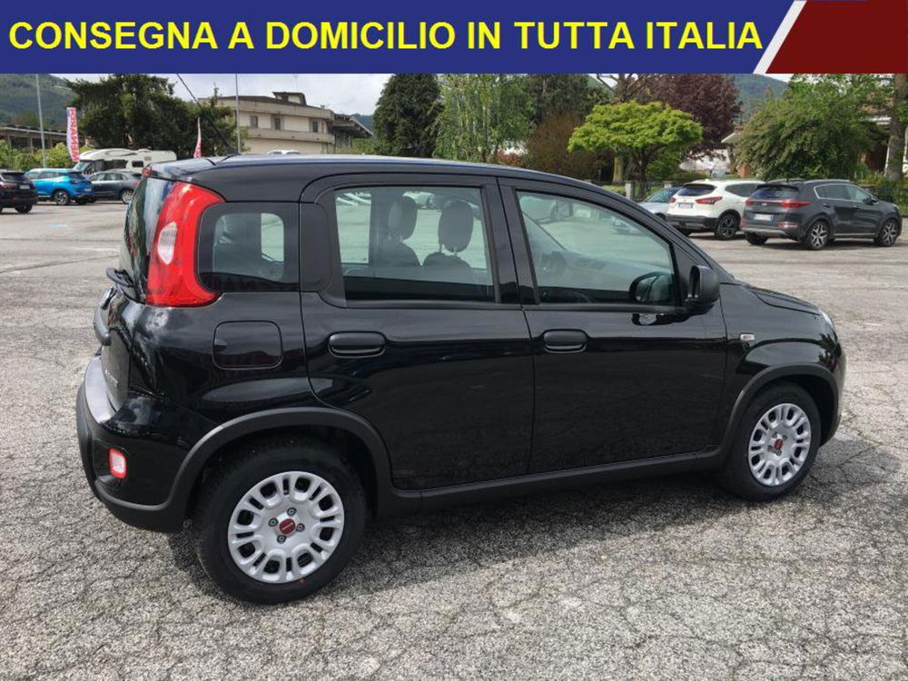 Fiat Panda nuova a Cuneo (3)