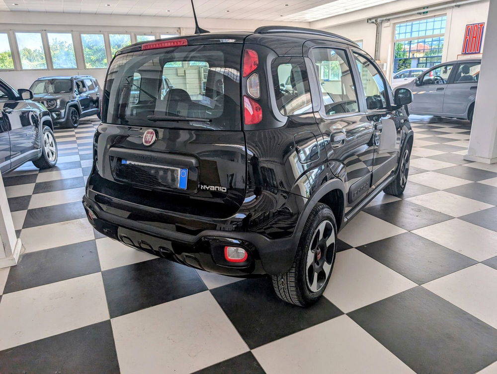 Fiat Panda Cross usata a Arezzo (4)