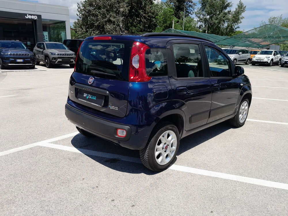 Fiat Panda usata a Ancona (5)