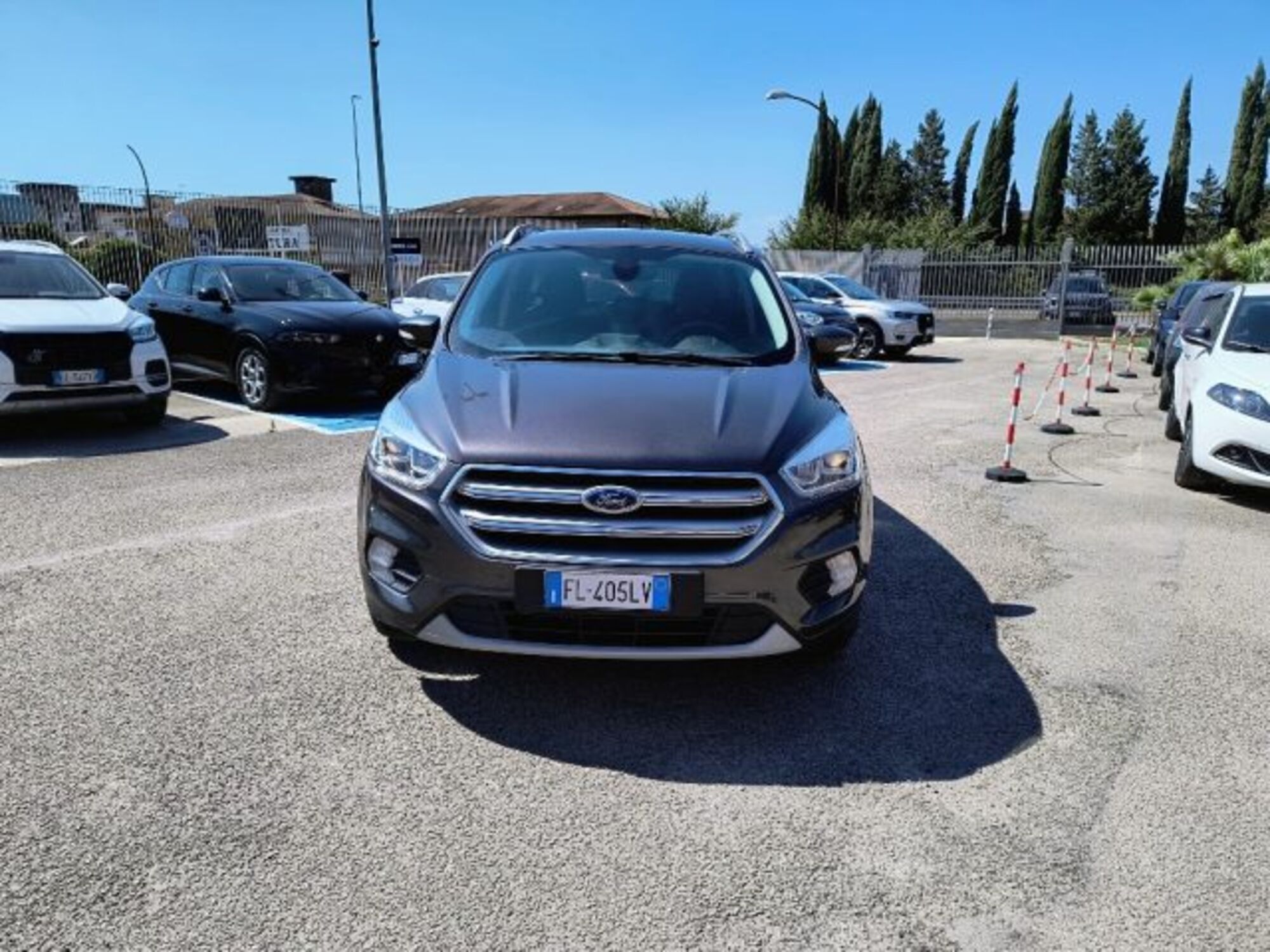 Ford Kuga 1.5 TDCI 120 CV S&amp;S 2WD Powershift Titanium Business del 2018 usata a San Giorgio a Liri