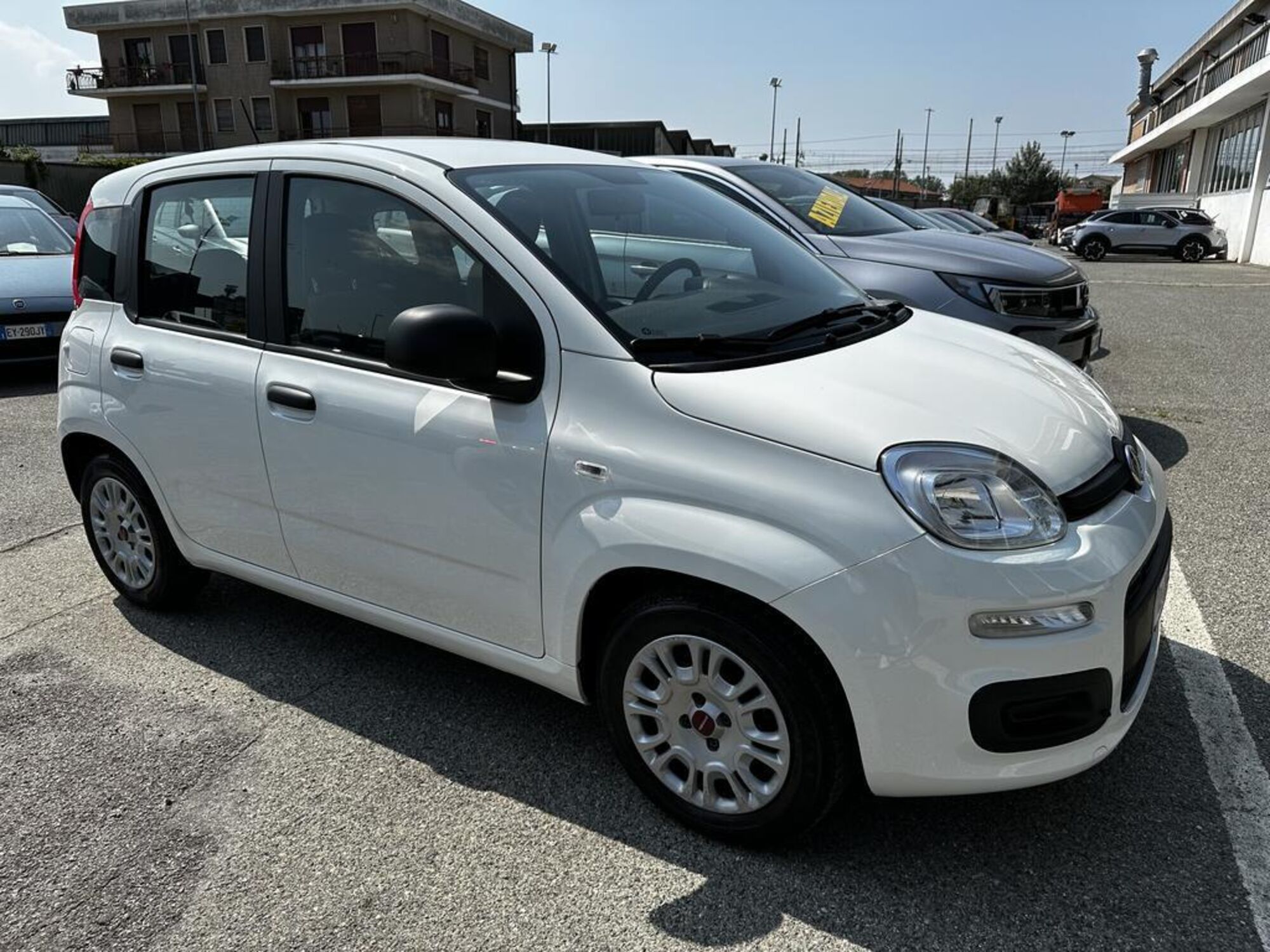 Fiat Panda Cross Cross 1.0 FireFly S&amp;S Hybrid  del 2021 usata a Moncalieri