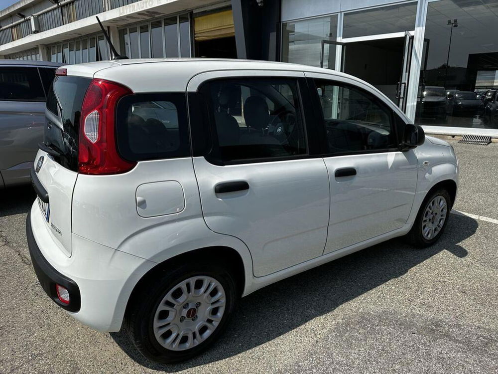 Fiat Panda Cross usata a Torino (3)