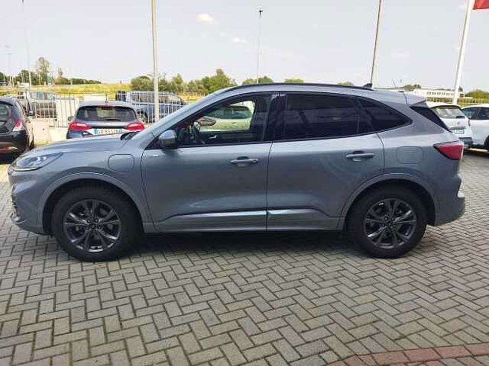 Ford Kuga usata a Torino (3)