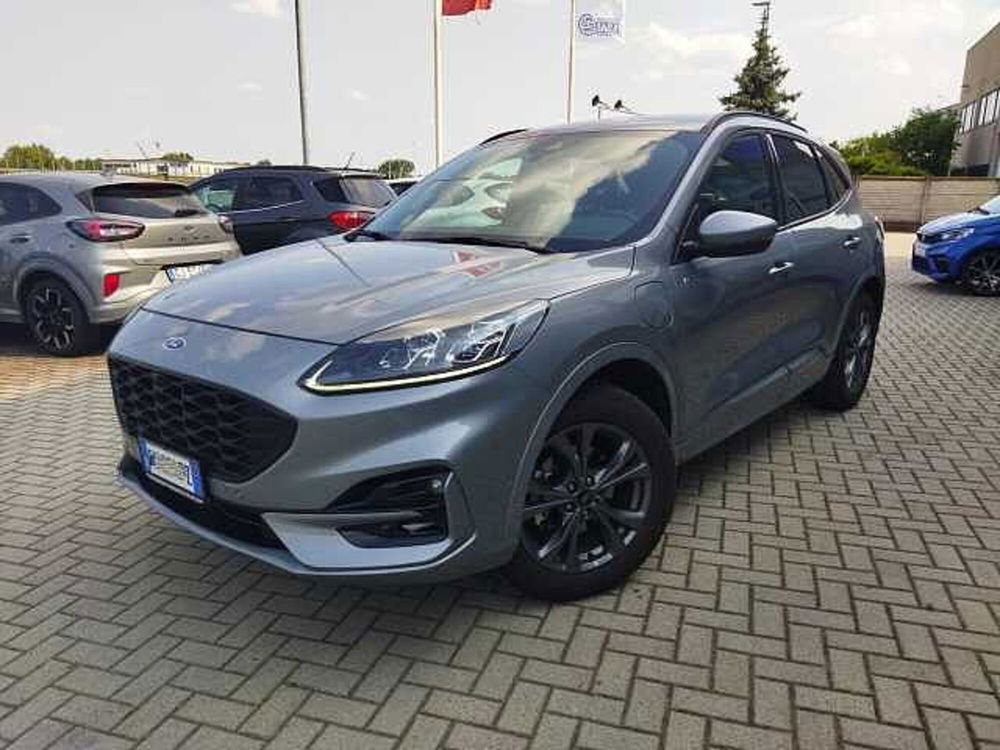 Ford Kuga usata a Torino