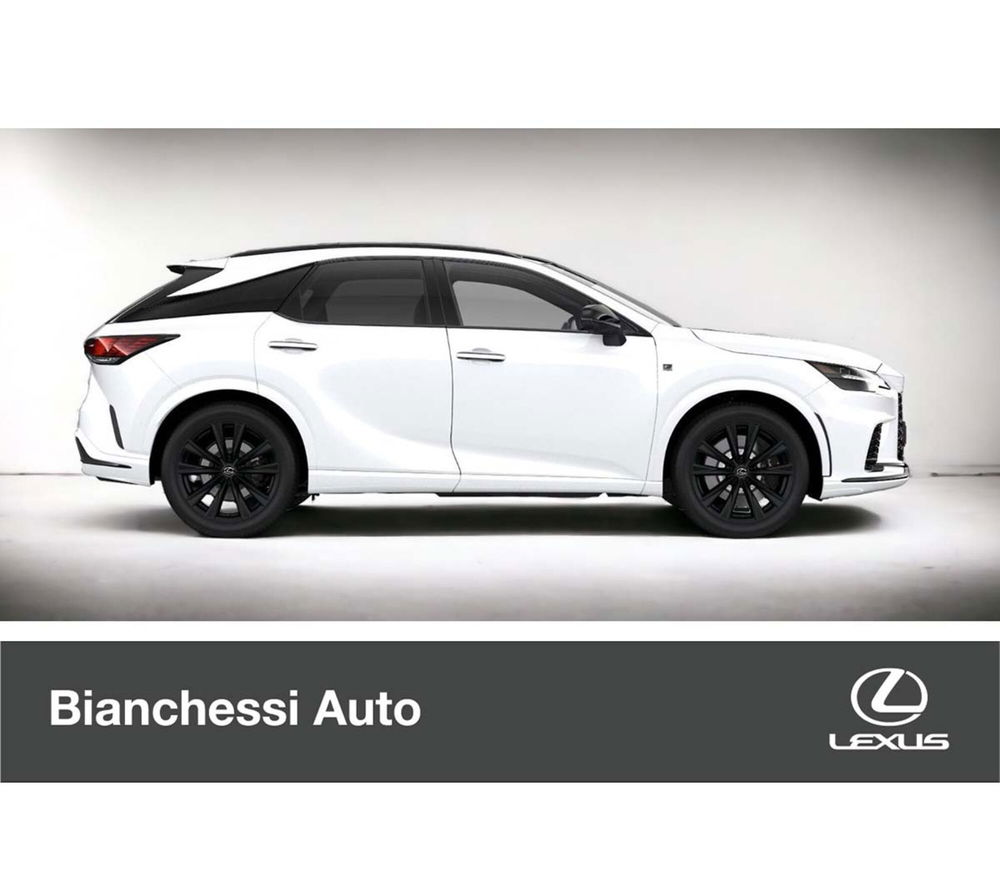 Lexus RX nuova a Cremona (14)