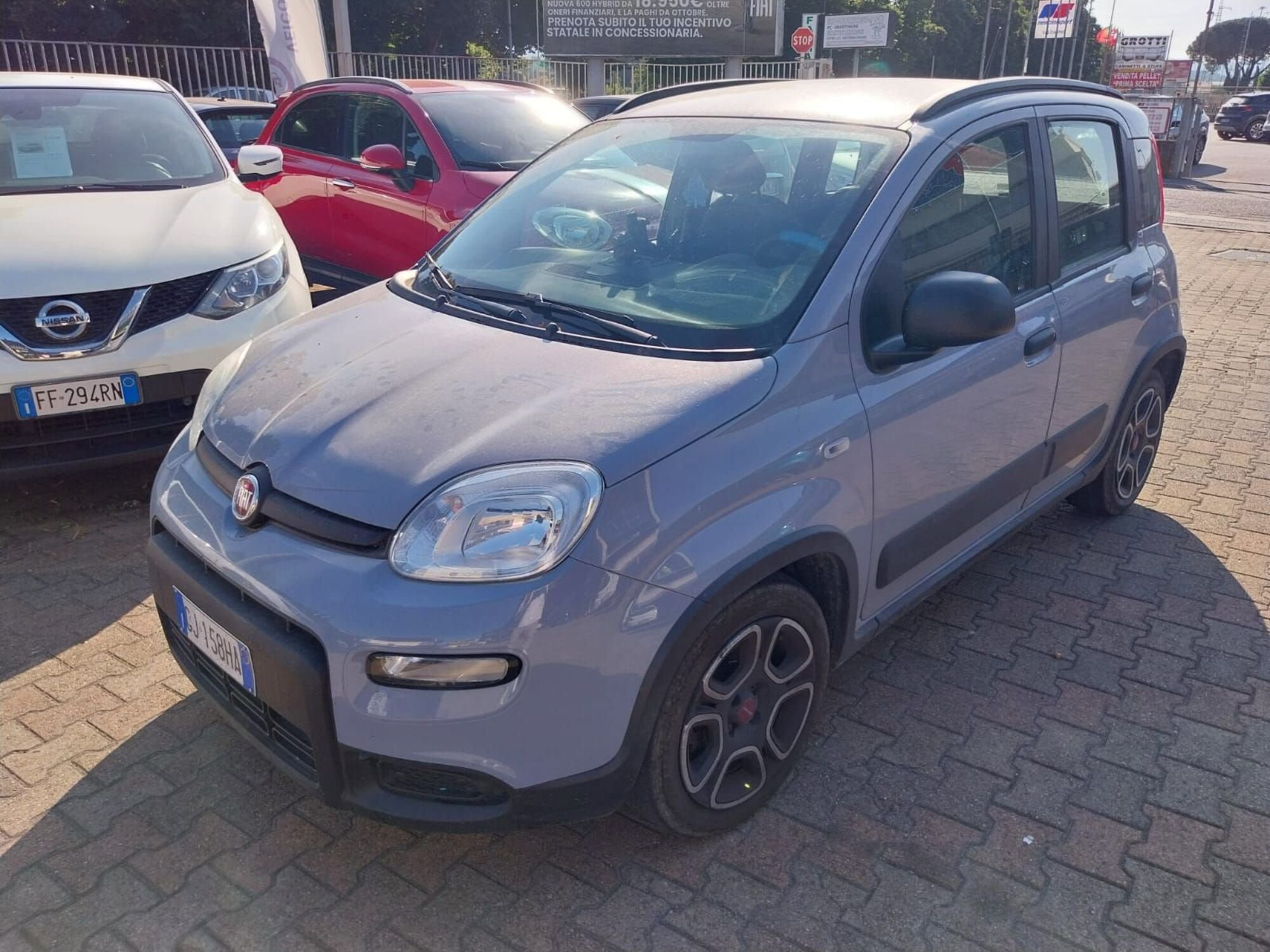 Fiat Panda 1.0 FireFly S&amp;S Hybrid City Cross  del 2022 usata a Terranuova Bracciolini