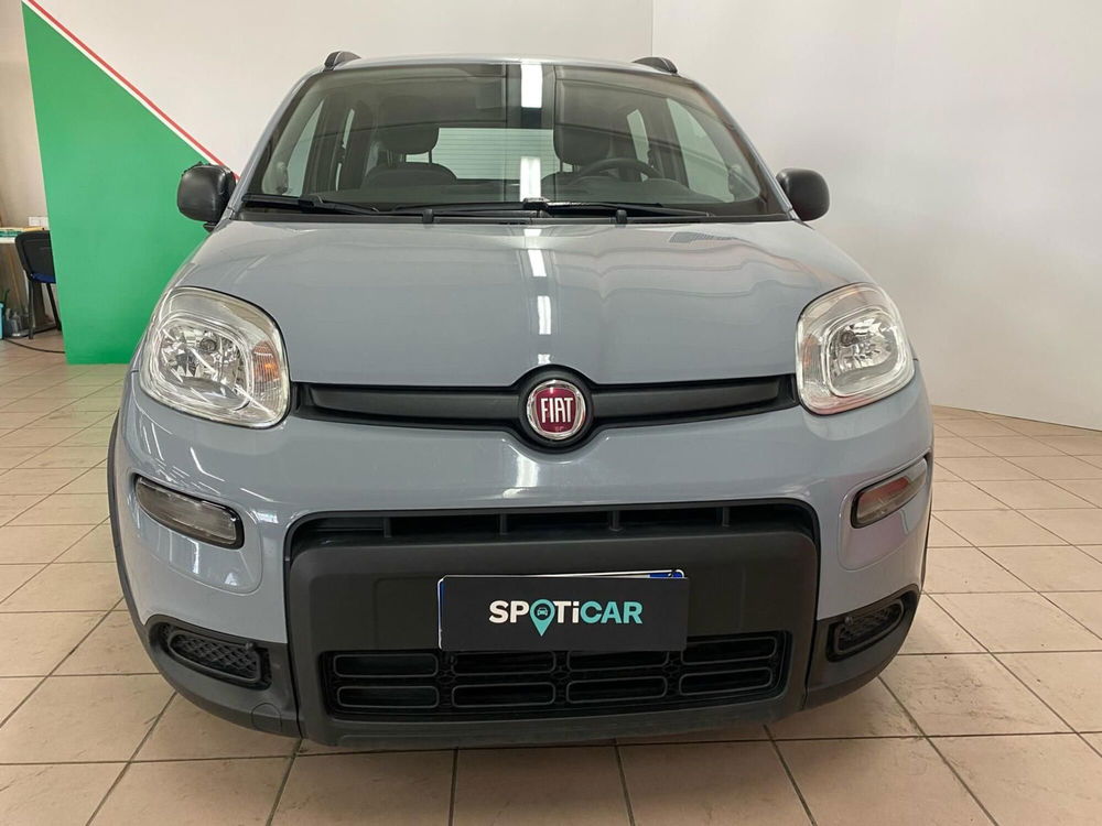 Fiat Panda usata a Arezzo (5)