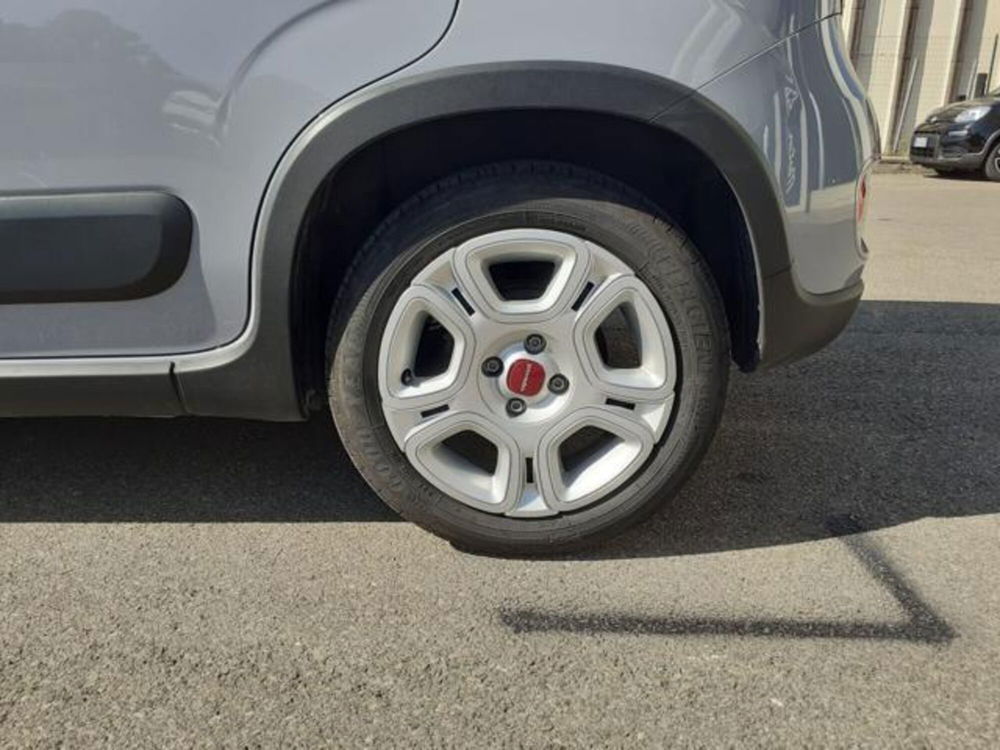 Fiat Panda usata a Firenze (10)