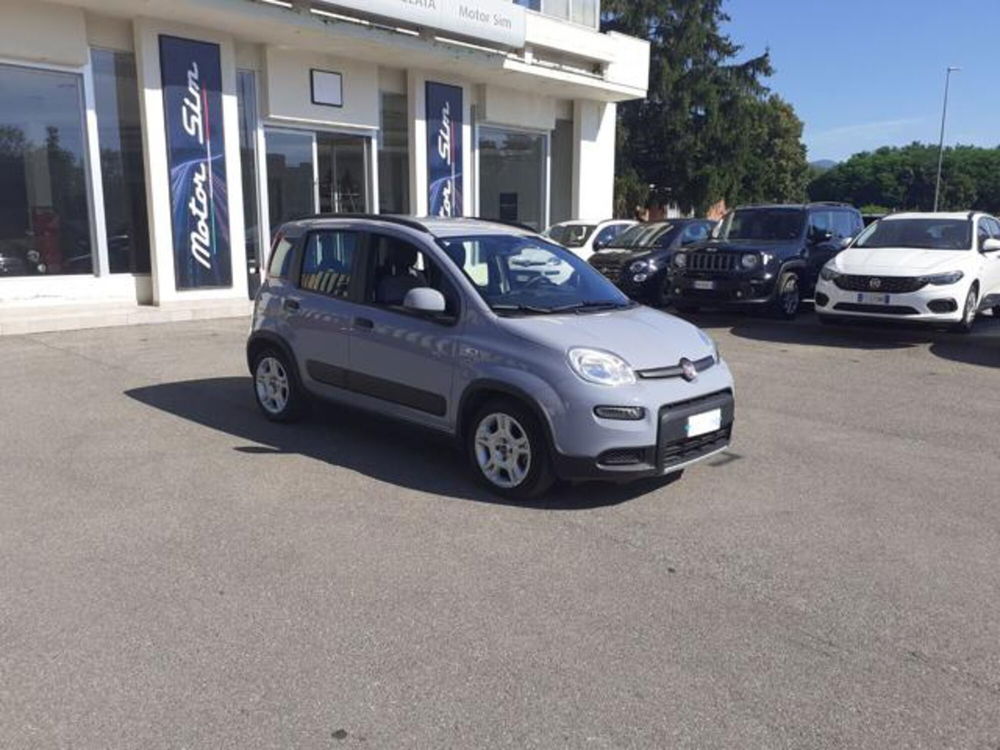 Fiat Panda usata a Firenze (2)