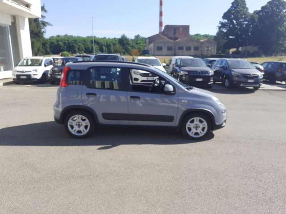 Fiat Panda usata a Firenze (3)