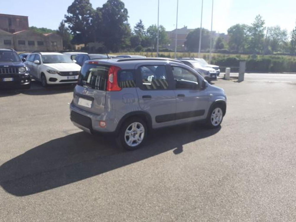 Fiat Panda usata a Firenze (4)