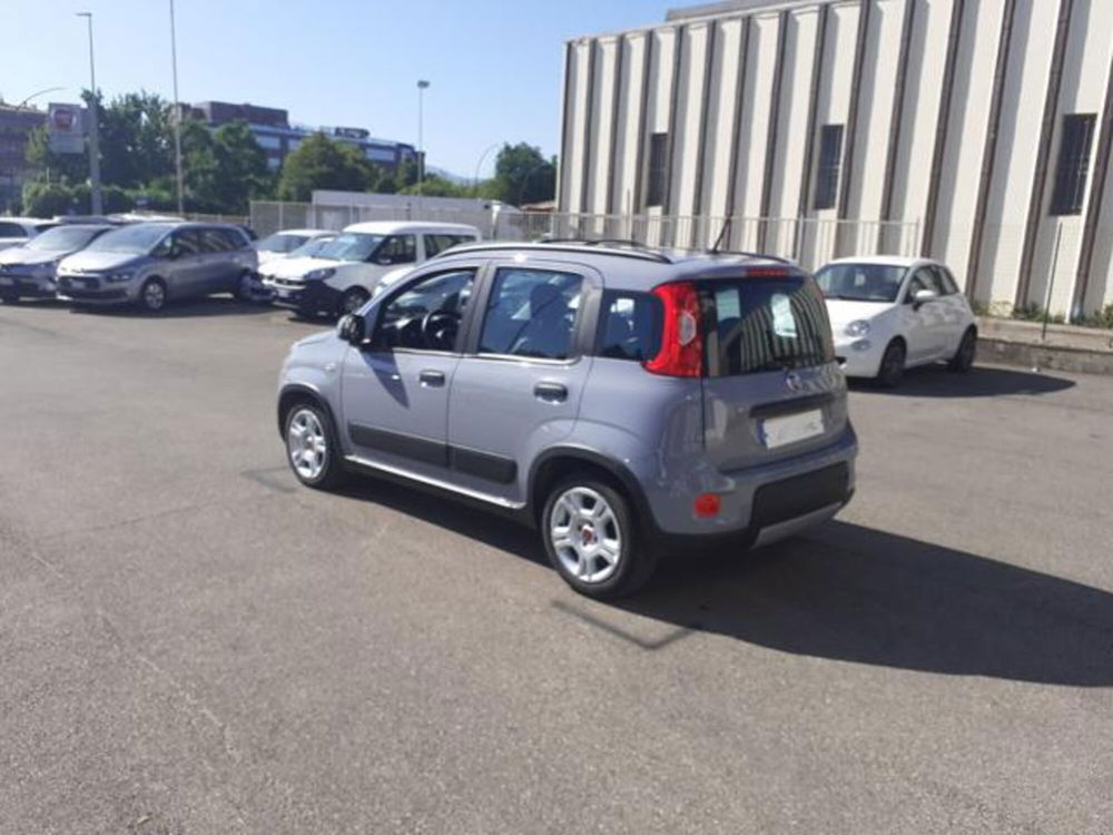 Fiat Panda usata a Firenze (6)