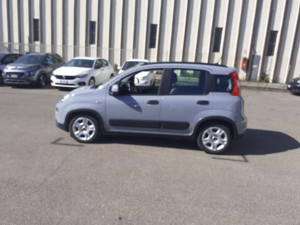 Fiat Panda usata a Firenze (7)