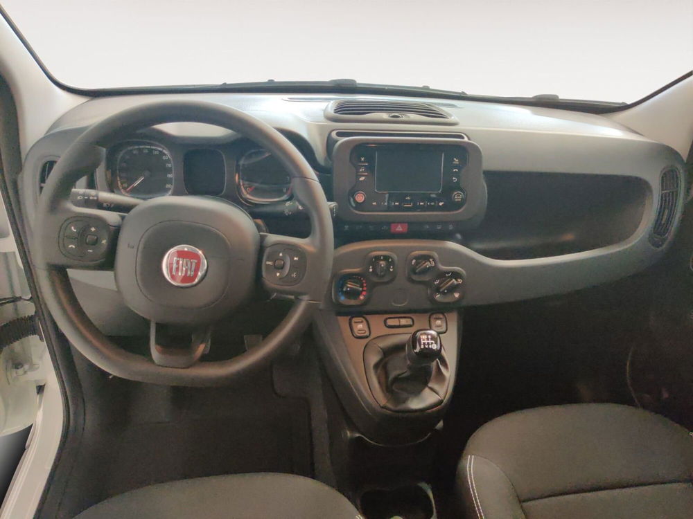 Fiat Panda Cross nuova a Pordenone (10)