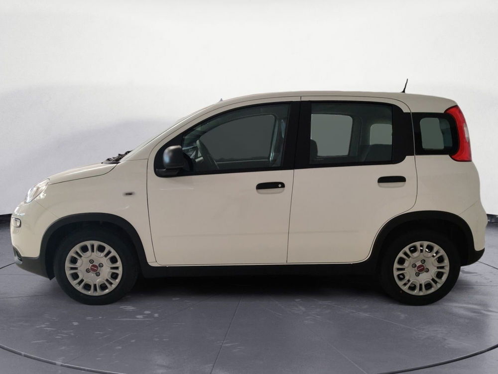 Fiat Panda Cross nuova a Pordenone (2)