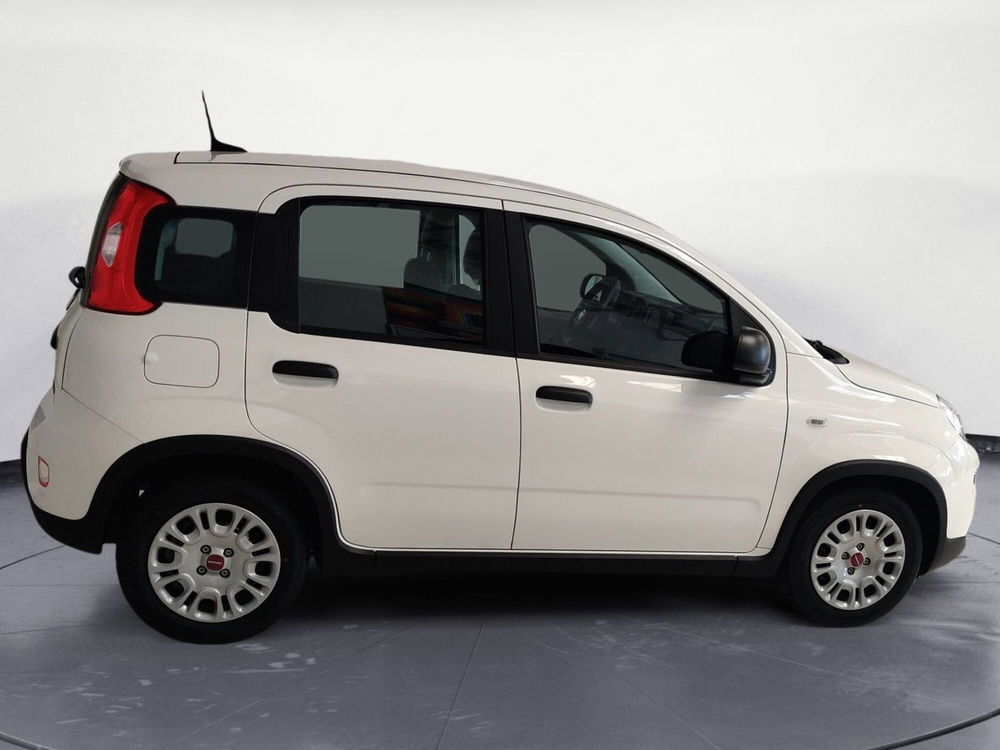 Fiat Panda Cross nuova a Pordenone (6)