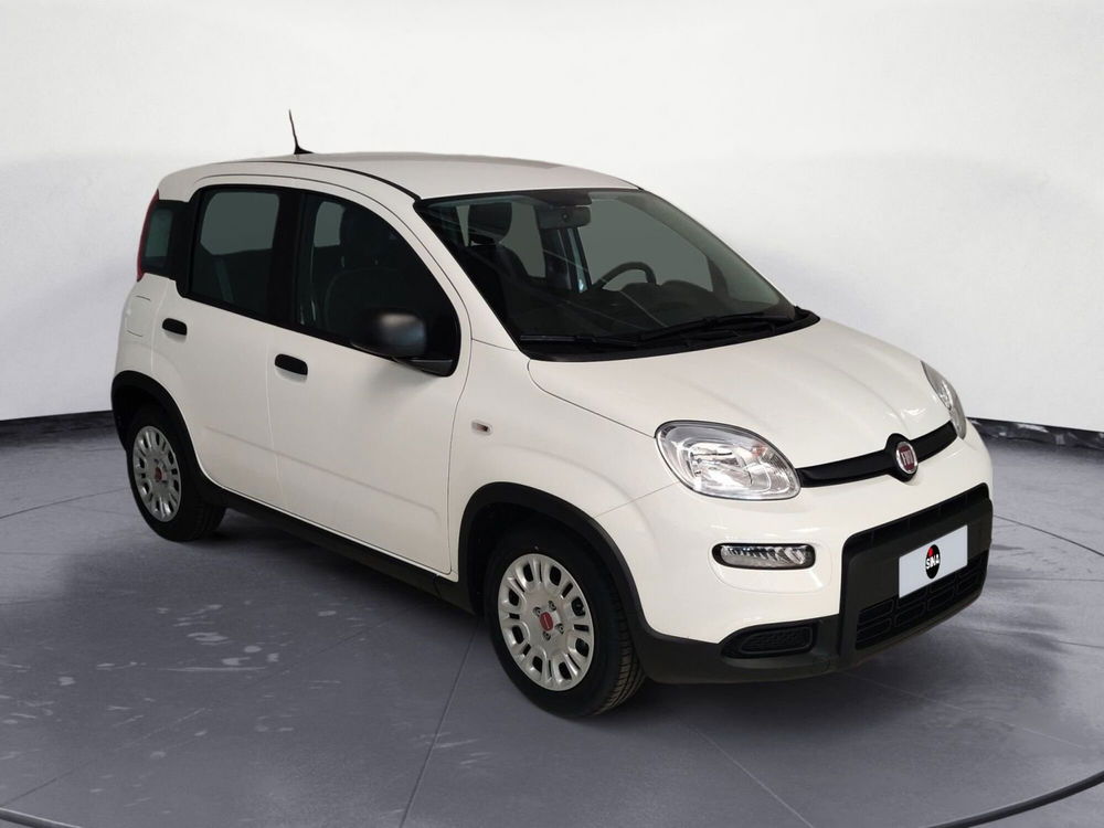 Fiat Panda Cross nuova a Pordenone (7)