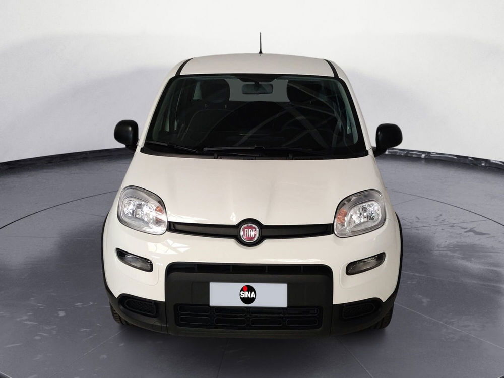 Fiat Panda Cross nuova a Pordenone (8)