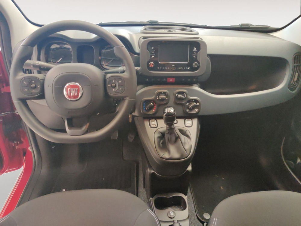 Fiat Panda Cross nuova a Pordenone (10)