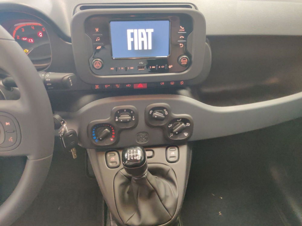 Fiat Panda Cross nuova a Pordenone (11)