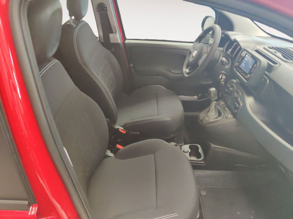 Fiat Panda Cross nuova a Pordenone (15)