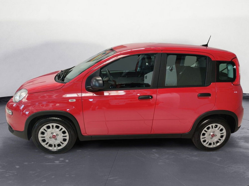 Fiat Panda Cross nuova a Pordenone (2)