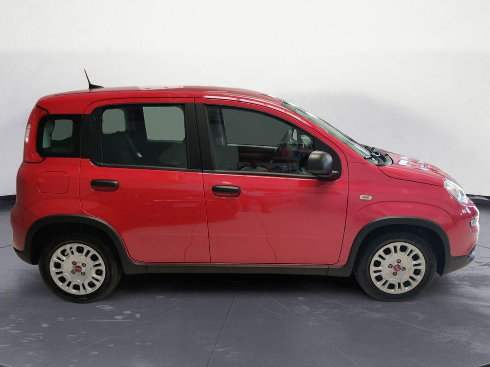 Fiat Panda Cross nuova a Pordenone (6)