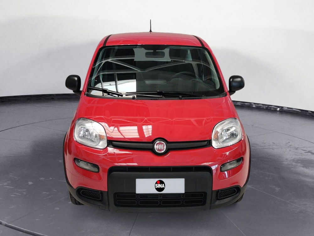 Fiat Panda Cross nuova a Pordenone (8)