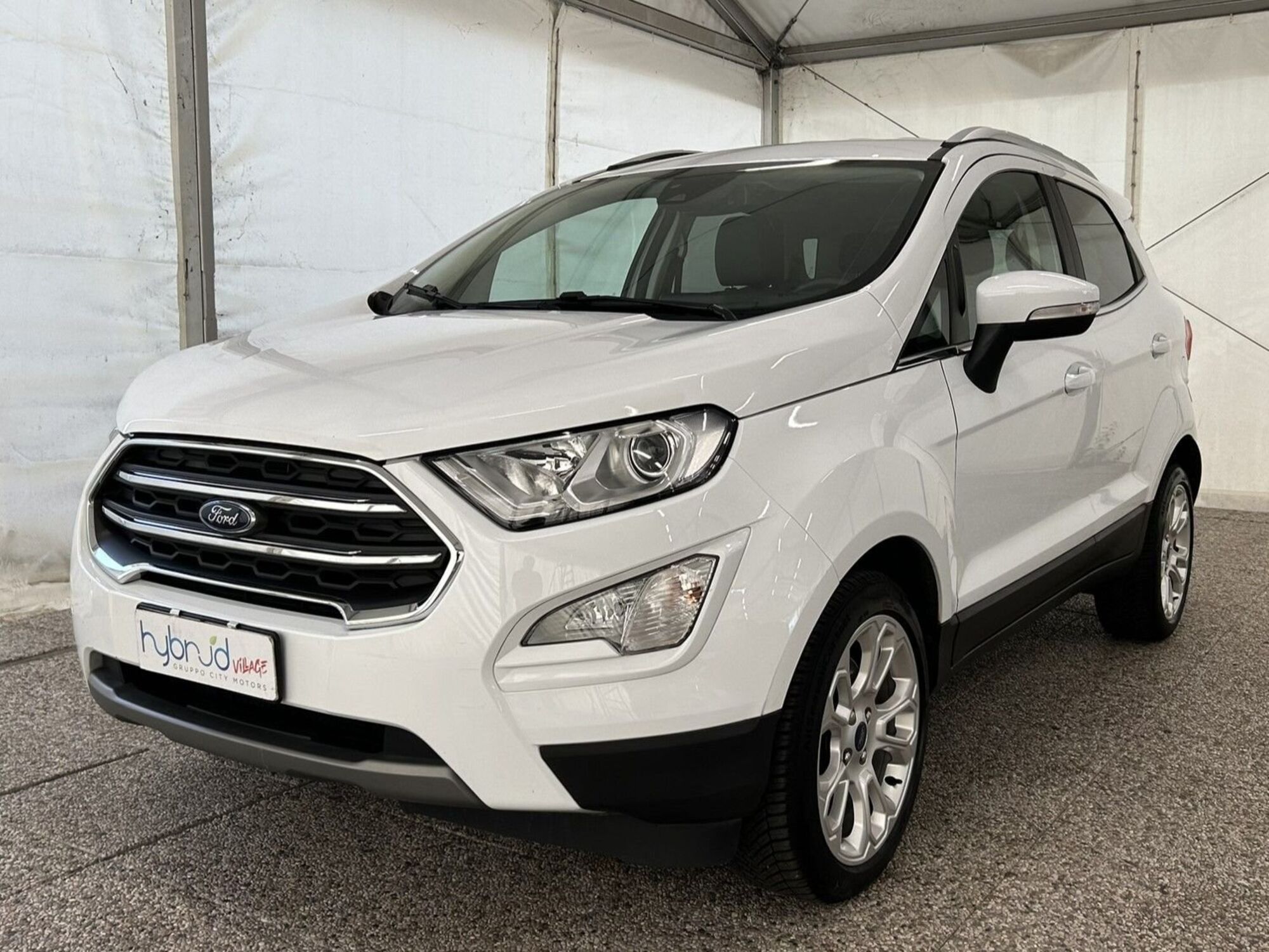 Ford EcoSport 1.0 EcoBoost 125 CV Start&amp;Stop Titanium  del 2020 usata a Monza